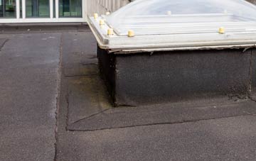 disadvantages of Milton Of Dellavaird flat roofs