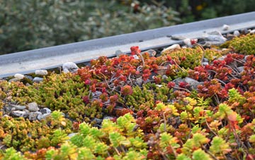the cost of Milton Of Dellavaird green roof installation