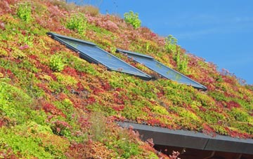Milton Of Dellavaird living roof systems