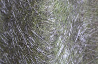 Milton Of Dellavaird fibreglass roof work